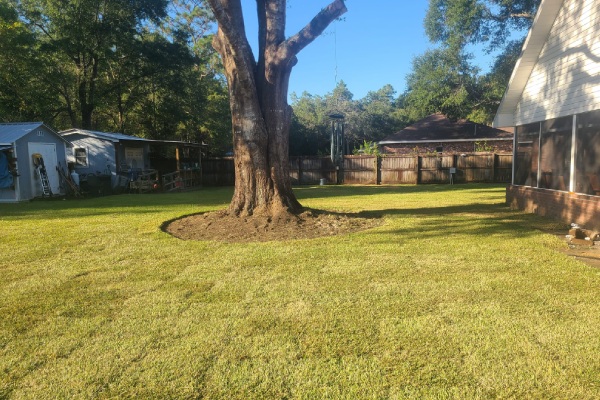 Lawn Care Services in Pace FL 32571